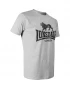Preview: Lonsdale T-Shirt Logo grau